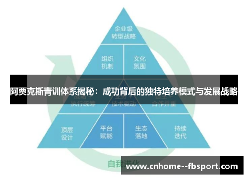 阿贾克斯青训体系揭秘:成功背后的独特培养模式与发展战略 阿贾克斯青训体系揭秘:成功背后的独特培养模式与发展战略